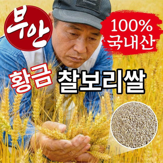 더맛곳간 국산 황금 찰보리쌀 찰보리 국내산 보리쌀 보리 쌀찰보리, 1개, 4kg