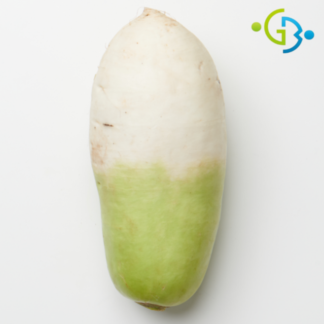 (거북) 국내산 세척무 봄무 햇무 무, 1박스, 2kg