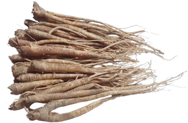 보람농장 안동 도라지 나물 도라지, 1박스, 나물 도라지 1Kg(비세척)