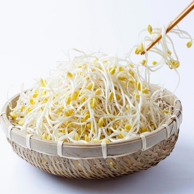 [천사푸드] 국내산 무농약 산소 콩나물 2kg 외, 01. 1kg