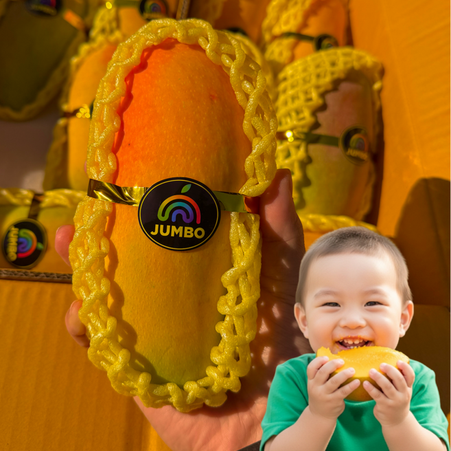 [직수입] 무지개망고 마하차녹 항공직송, 1박스, 1kg