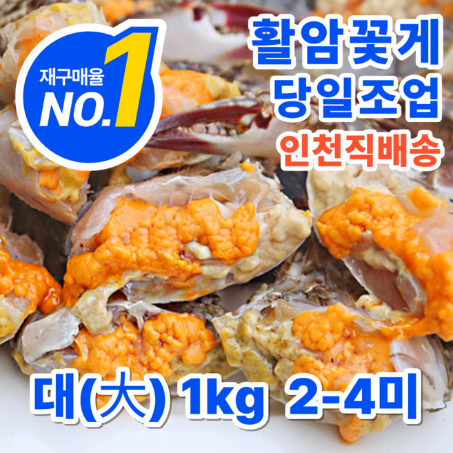소담어반 서해안 활 생물 알배기 암꽃게 당일조업 산지직송, 1박스, 1kg(대자)