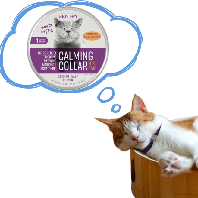 센트리 카밍 칼라 고양이 진정 목걸이 1개