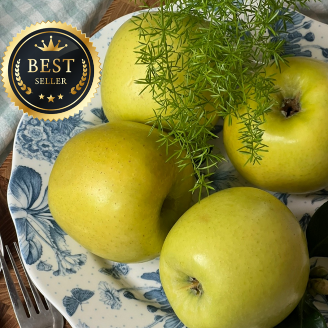 [꿀당도]당도보장 시나노골드 황금사과, 1개, 2kg중대과