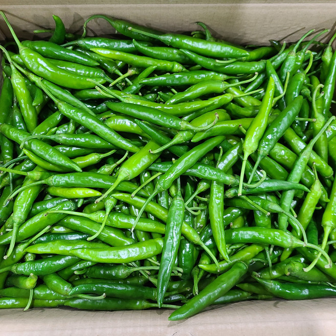 영호네농산물 청양고추 특품, 1박스, 1kg