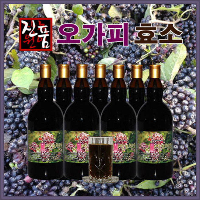 장녹원 오가피효소 1L(1000ml), 2개, 1L