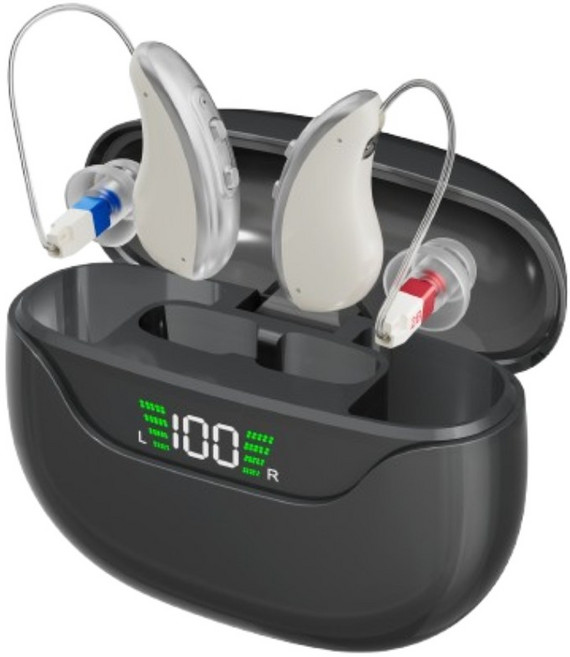 [웰톤] 소리 증폭기 FDA 인증 음성 증폭 귀걸이형 GM-323, 1개, 웰톤6 GM-323