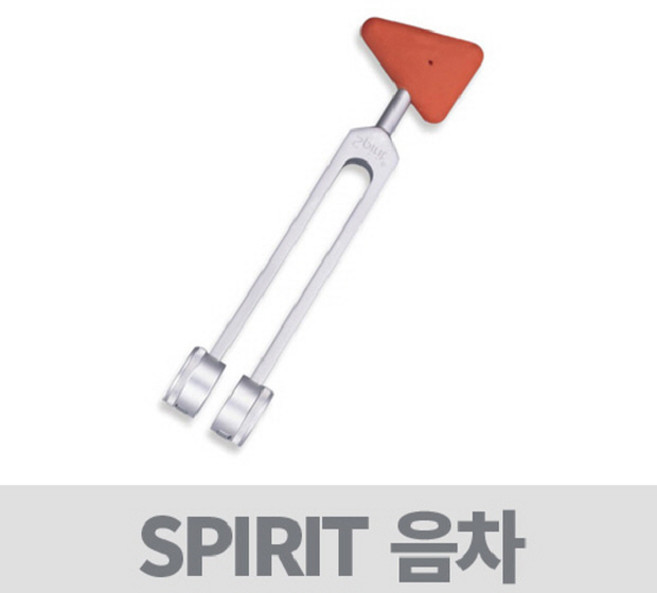 소리굽쇠 청력검사 스피릿 음차 SPIRIT CK-906 타진기, 1개
