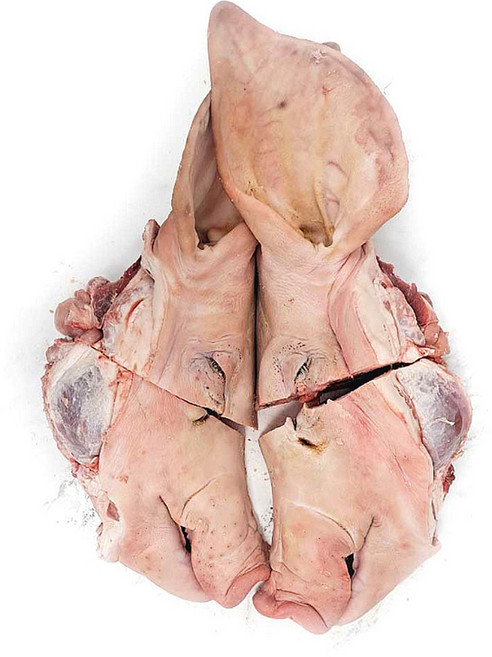 (배터짐) 돼지국밥 통 돼지머리 순대국 돼지 머리고기 (일요일&당일발송), 1개