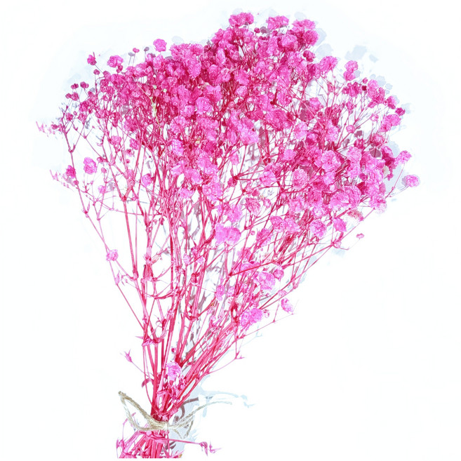 壹樓花藝雜貨 永生滿天星1束乾燥花/永生花 居家裝飾, 深粉色