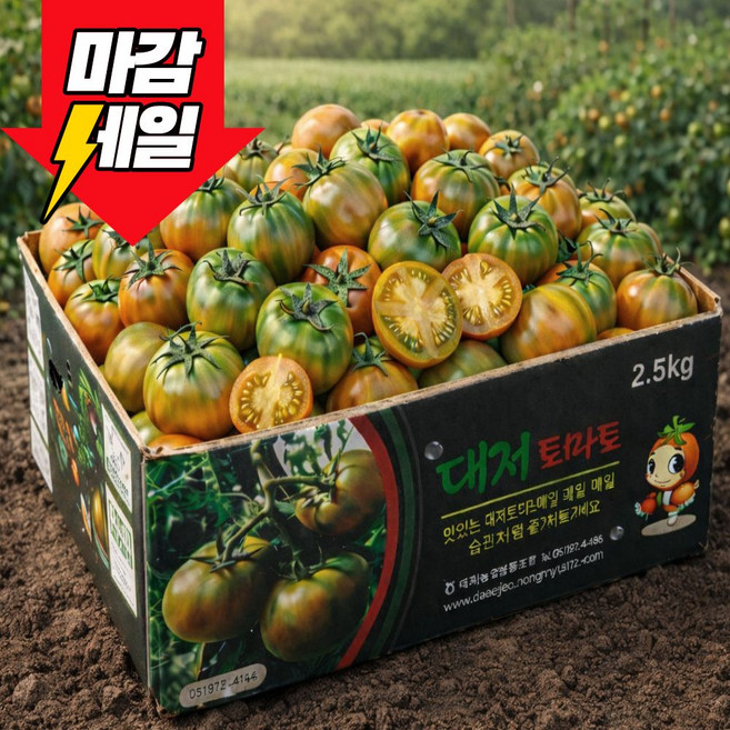 [딱100박스하루만] 산지직송 부산 특품 대저토마토, 1박스, 특품 2.5kg(M)