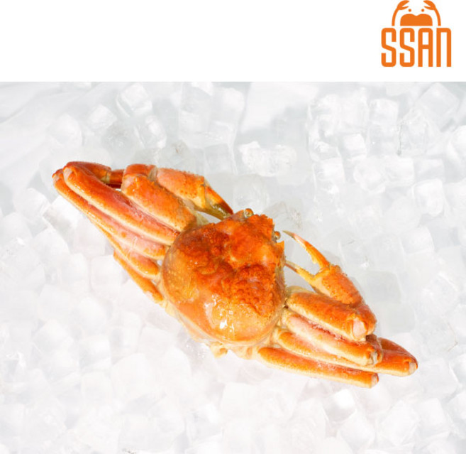 [싼크랩] 스노우크랩 러시아대게 박달자숙대게 살이 꽉찬 1마리1kg. 2마리 2kg, 1박스, 900g~1kg