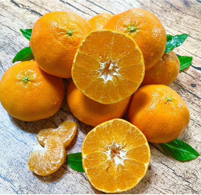 자연의맛 고당도 명품 제주 카라향, 1박스, 2kg