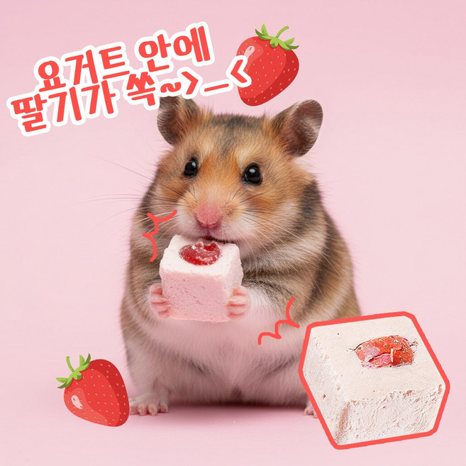 YEE 동결건조 요거트 딸기 1P, 1개, 2g