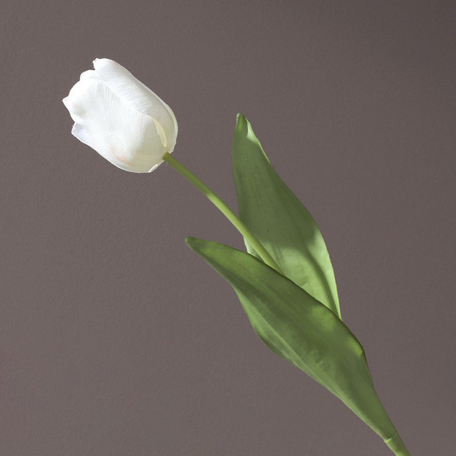 若惜 手感仿真花 單枝 保濕鬱金香 人造花 綠植 假花 植物, 開口鬱金香白色, 1個