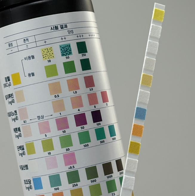 소변검사키트 혈뇨 소변검사스틱 단백뇨 잠혈 거품뇨 방광염 잔뇨 (애보트 10종), 1개, 100매