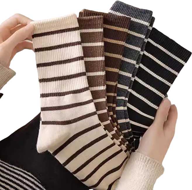 샤콤 줄무늬 스트라이프 패션중목 양말 5종세트 347-DY1