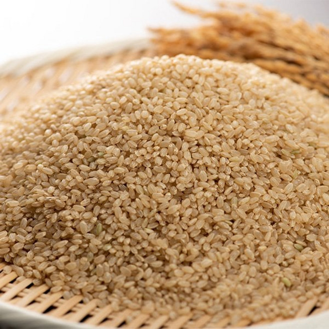 자연맛남 전주시 디자인농부 현미 영양가득 10kg, 1개