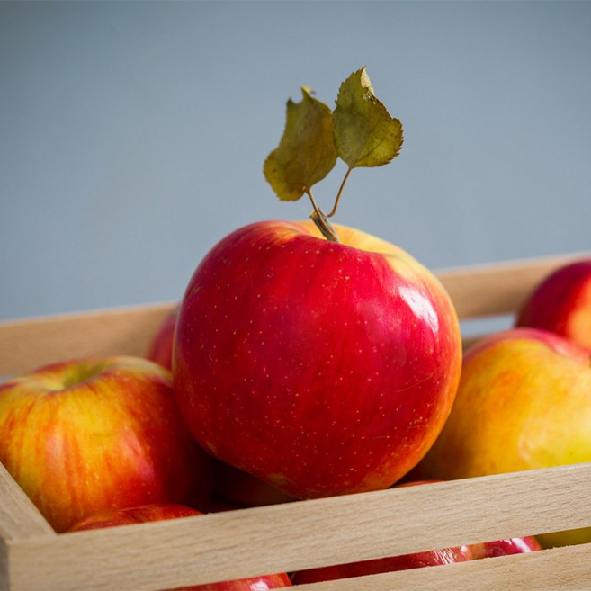 고당도부사 청송사과 가정용 알뜰 중과 대과 2kg 4kg, 2k대과 (5~7개), 1개