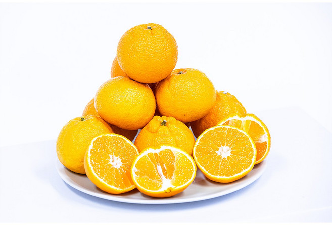 귤부심 한라봉 당도선별 제주 산지직송, 1개, 한라봉 혼합 3kg