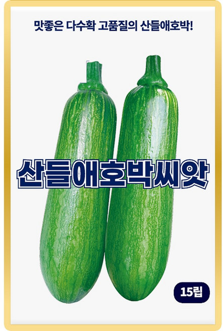 산들 애호박씨앗 15립 다수확 소량 애호박씨 종자, 2개