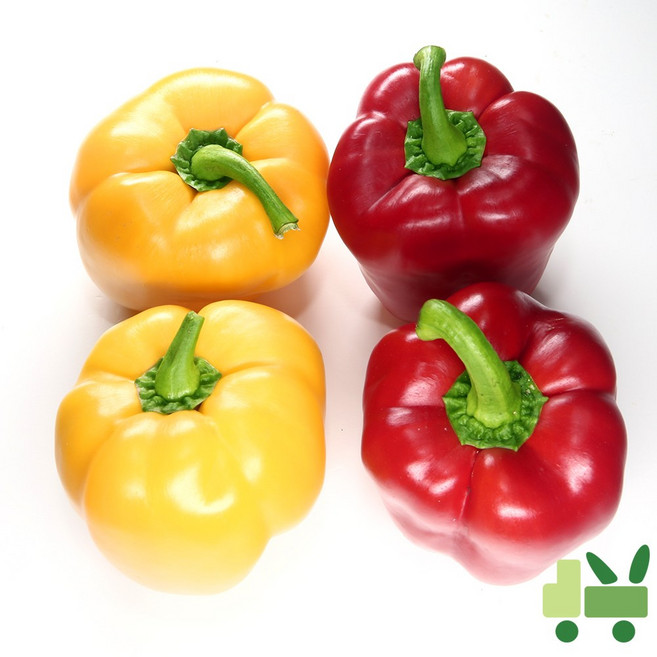 파프리카 노랑 & 빨강 (비품), 10kg, 1개