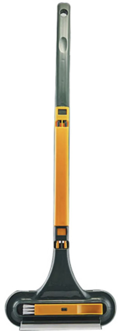 깔끔대장, 황록색, 1개