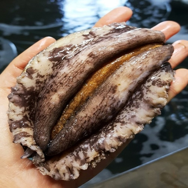 [한국소비자평가 4연속 우수선정] 왕특대 선물용 5-6미 1kg 1.5kg _자른미역 세척솔, 1개, 02. 명품 왕특대 1.5kg (총 7~8마리)