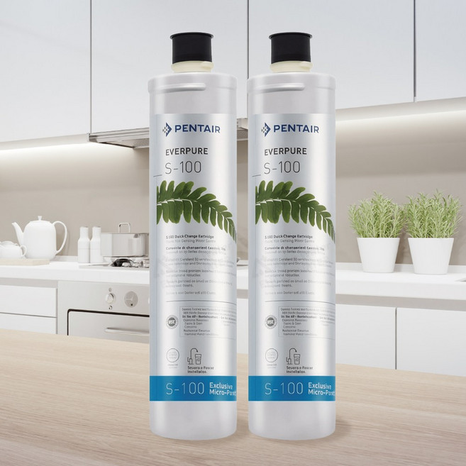 EVERPURE S-100濾心 原裝進口淨水器濾芯 有效去除雜質異味 提升飲水品質, 1個, 雙入裝(售出無保固, 雙入裝(售出無保固