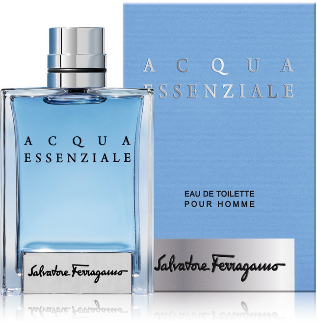 페라가모 아쿠아 에센셜 뿌르옴므 EDT, 100ml, 1개