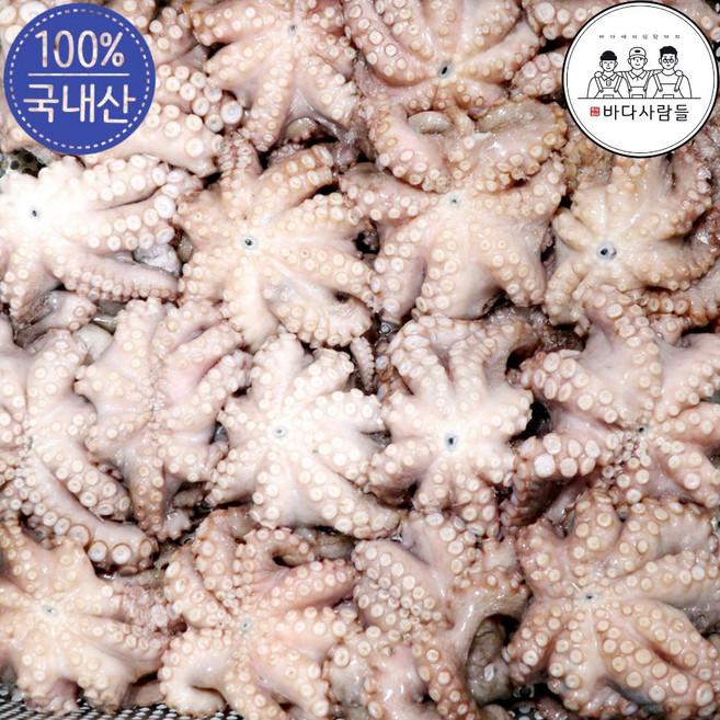 [바다사람들] 국내산 냉동 해물탕 찜용 업소용 손질 세척 통문어, 1박스, 1kg(2~4미)