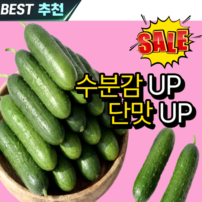 [내일식탁] 새벽수확 아삭아삭 햇 국내산 미니오이, 1박스, 4kg