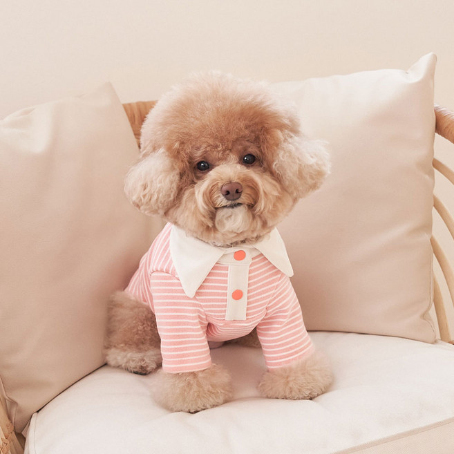 베일리 강아지옷 애견의류 향균 해충방지 로이 카라티, 코랄피치, 1개