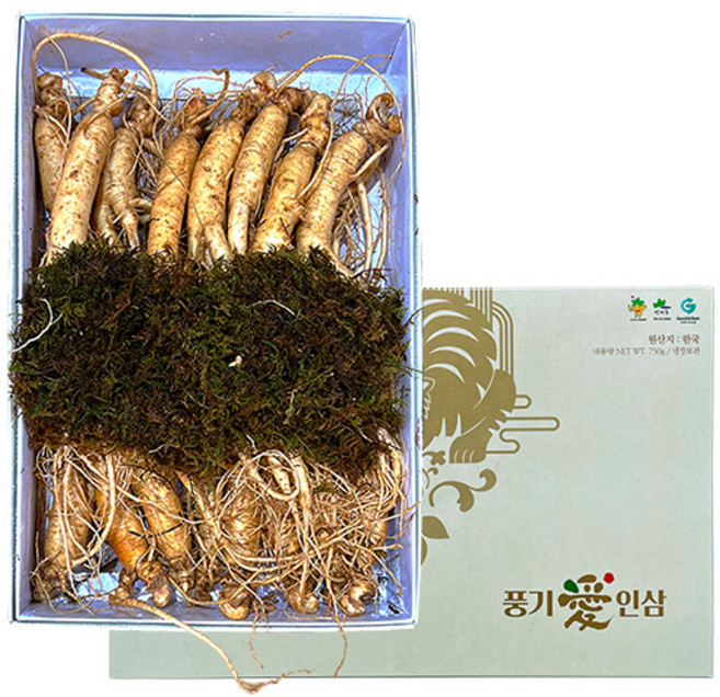 풍기인삼제조창 6년근 풍기인삼 15-20편, 500g, 1개