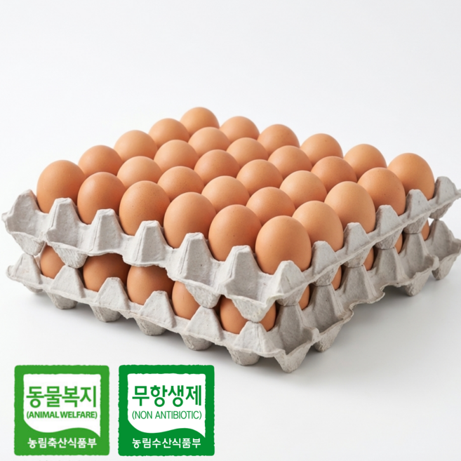 동물복지 무항생제 유정란 왕란 60구 [난각번호2번] HACCP, 2세트, 30구