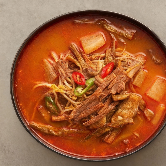 합천 얼큰 소고기 양지 전통 해든육개장(아이스박스 600g), 1개, 600g