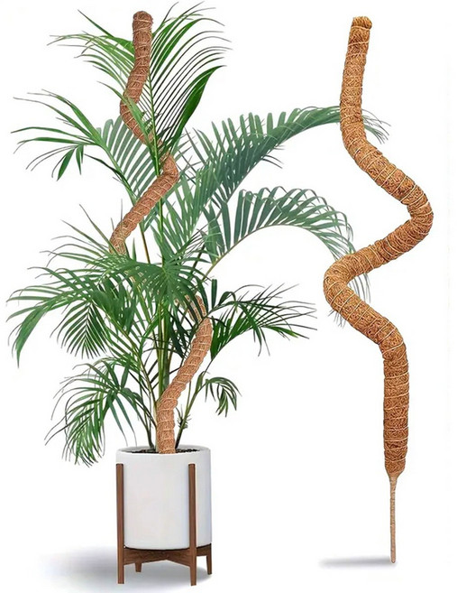 몬스테라 슬림 수태봉 넝쿨 식물 화분 리스 지지대 120cm, 1개