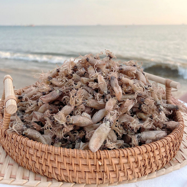 바다어보 국산 햇 꼴뚜기 / 술안주 볶음 반찬용 마른꼴뚜기, 1개, 1kg