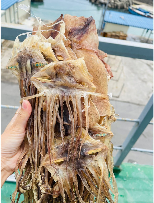 동해안 마른오징어 건조오징어 파지오징어, 500g, 1개