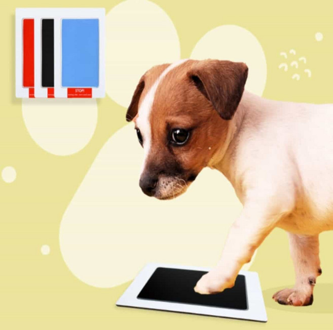 반려동물발도장 발자국찍기 발스탬프 고양이발스탬프 고양이발바닥도장 강아지발도장 강아지발스탬프, 파