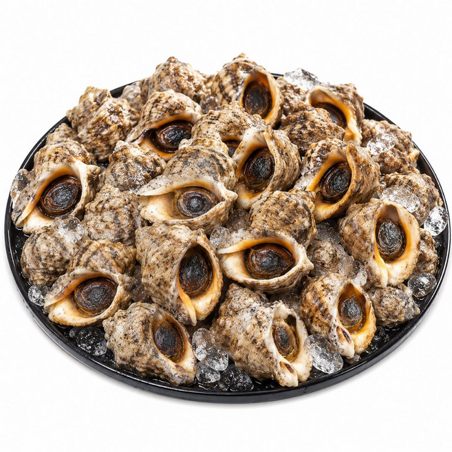 국산 참소라 생물 산지직송 디아머스, 1개, 1kg (10미 이상)