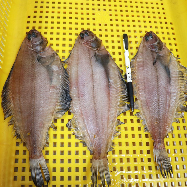 강원도 고성 자연산 손질/미손질 가자미 반건조 가자미 500g/1kg/2kg, 04_ 반건조가자미 1kg(7~10미), 1개, 1kg