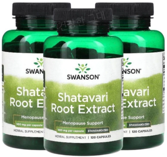 Swanson Shatavari 샤타바리 뿌리추출물 500mg 120캡슐 3개 사타바리루트, 120정 - 쿠팡