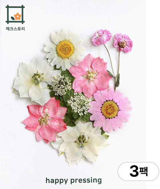 체크스토리 압화 컬러가든시리즈 누름꽃 꽃송이 압화재료 공예, 핑크10(3팩), 핑크