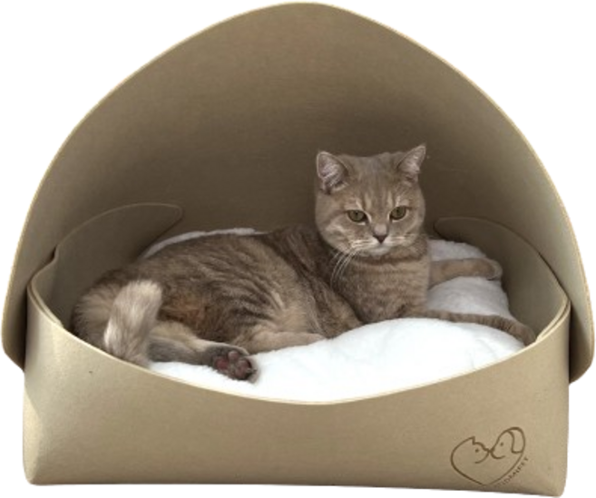 보드미펫 고양이숨숨집 강아지집 방석 쿠션, 베이지, 1개