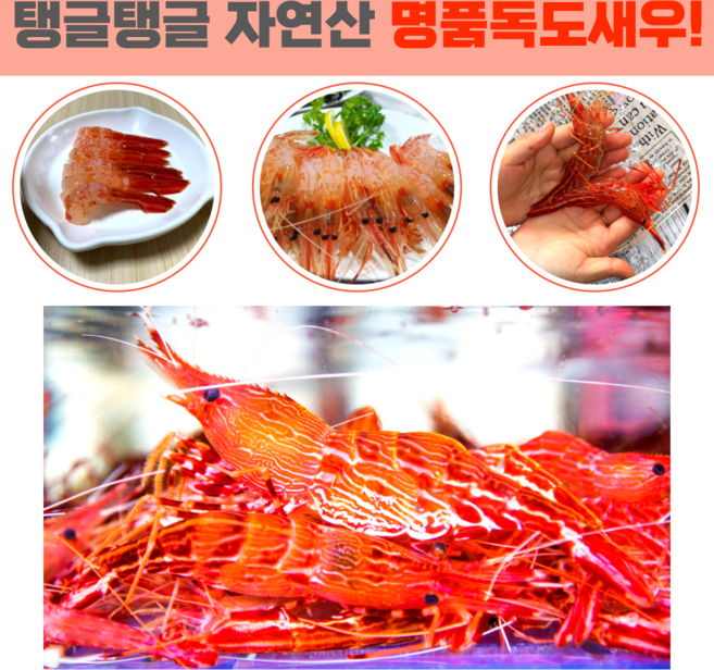 당일조업 산지직송 자연산 활 독도새우 꽃새우 닭새우 300g 500g 1kg, 활 독도꽃새우 300g, 1개