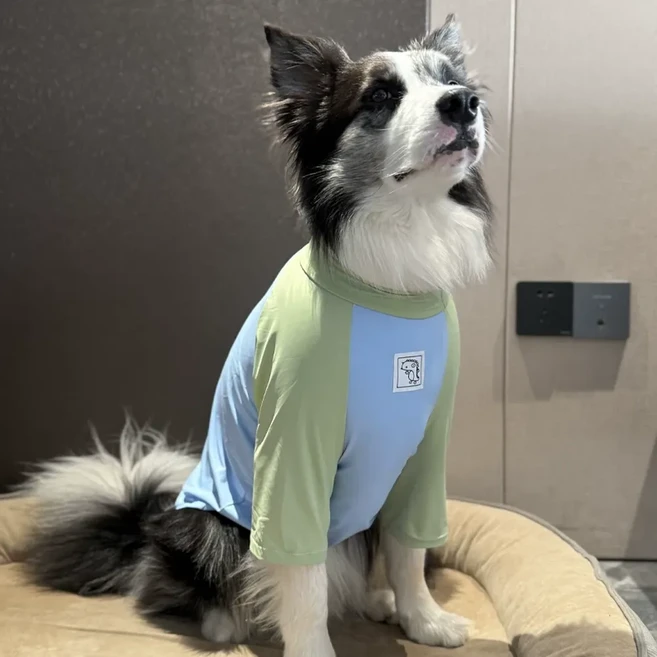 大型犬 夏季冰絲涼感防曬衣, 插肩袖藍身綠袖, 1個
