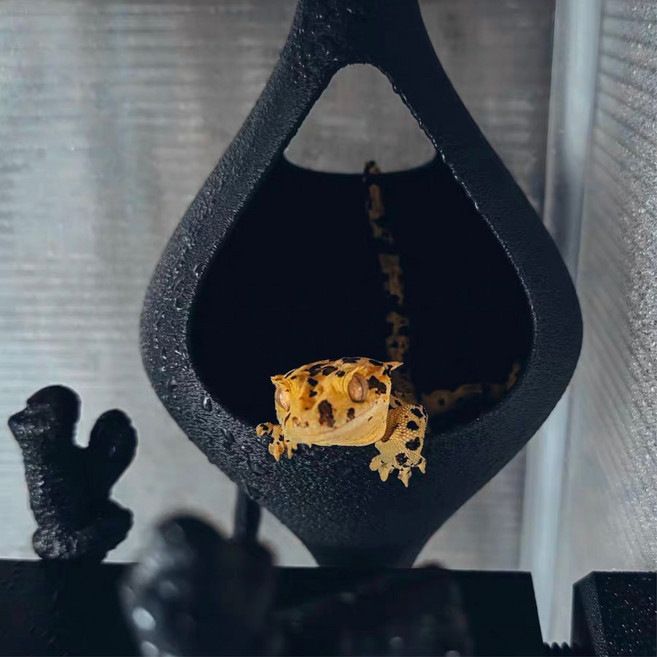 크레스티드게코 트리하우스 은신처 놀이터, 1개, 검은색