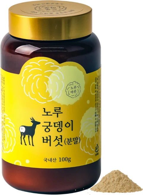 국산 무농약 노루궁뎅이버섯 분말 가루 100g, 1개 - 쿠팡