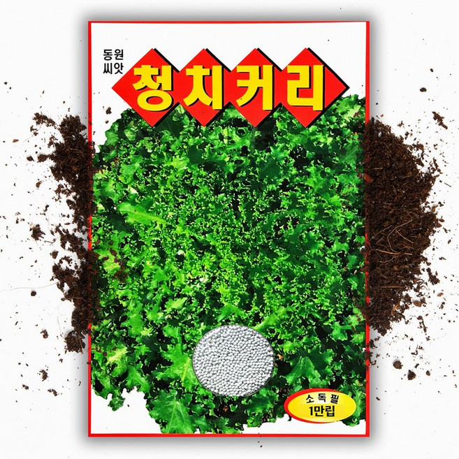 대포장 동원 청 치커리 씨앗 1만립 펠렛코팅 치커리 종자 씨 대용량